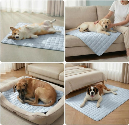PawsChill™ Cooling Mat