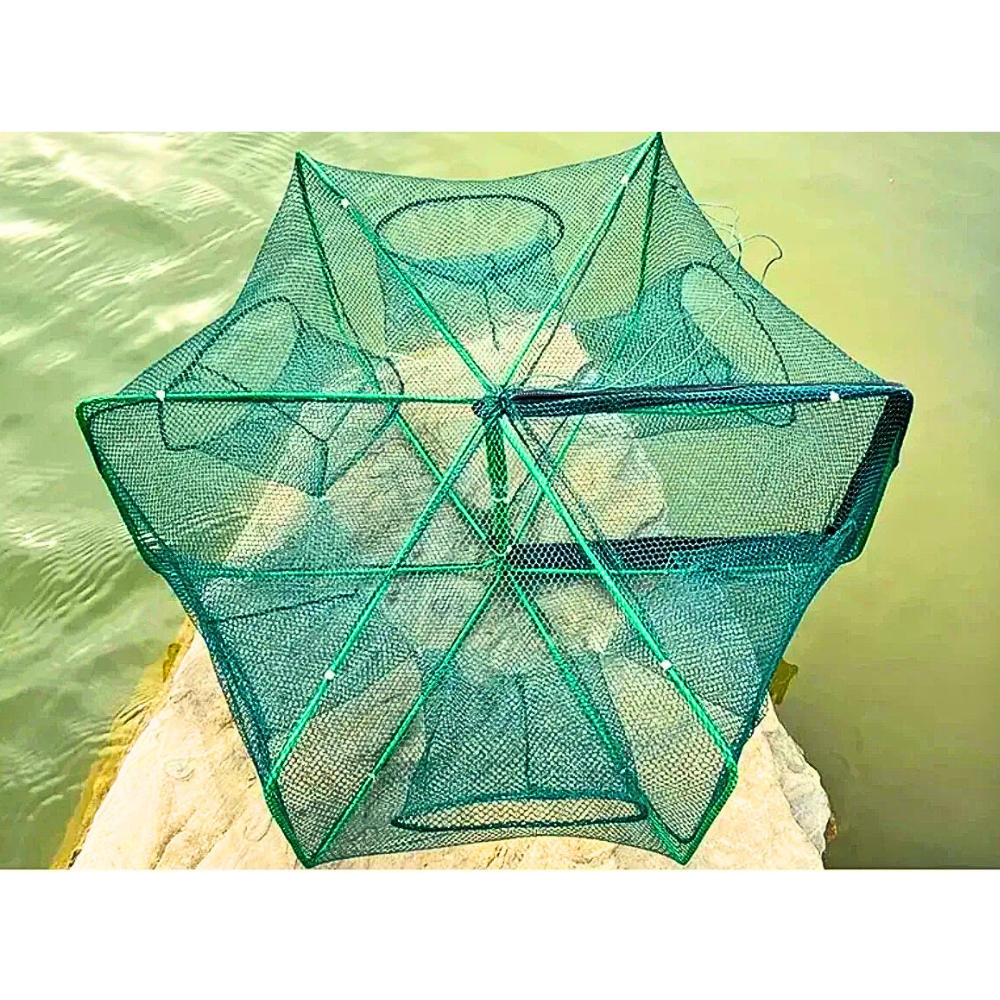 Easy Catch Fish Trap