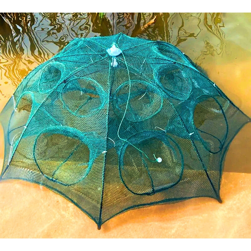 Easy Catch Fish Trap