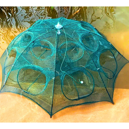 Easy Catch Fish Trap
