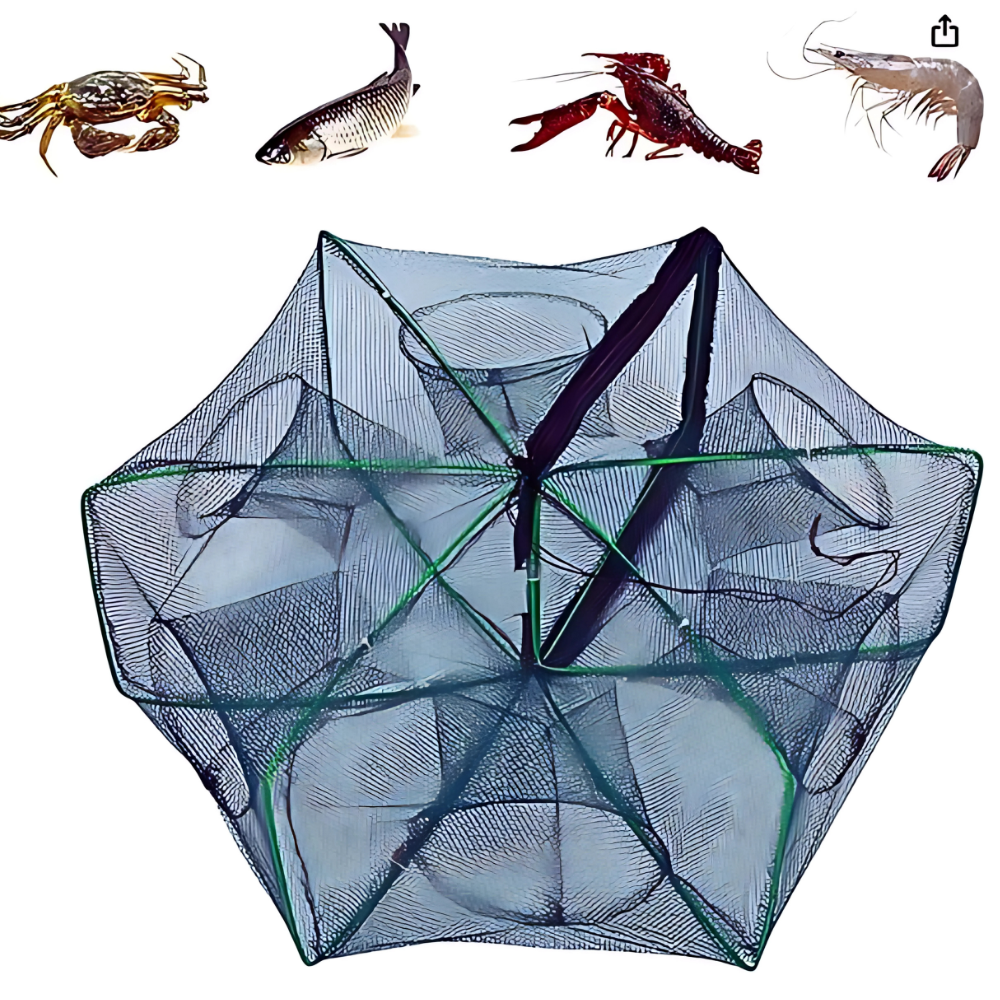 Easy Catch Fish Trap