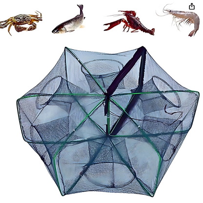Easy Catch Fish Trap