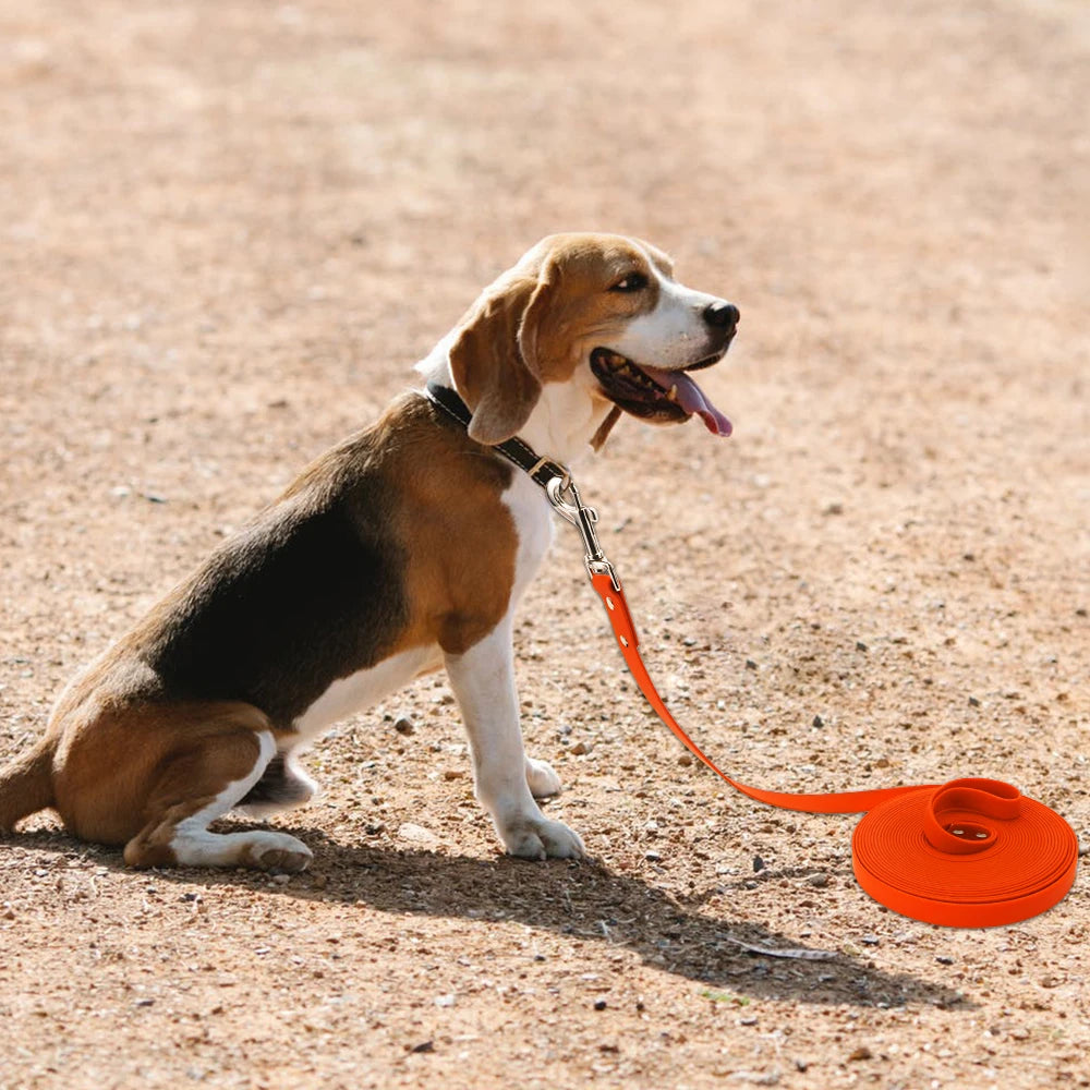 Easy Clean Waterproof Dog Leash