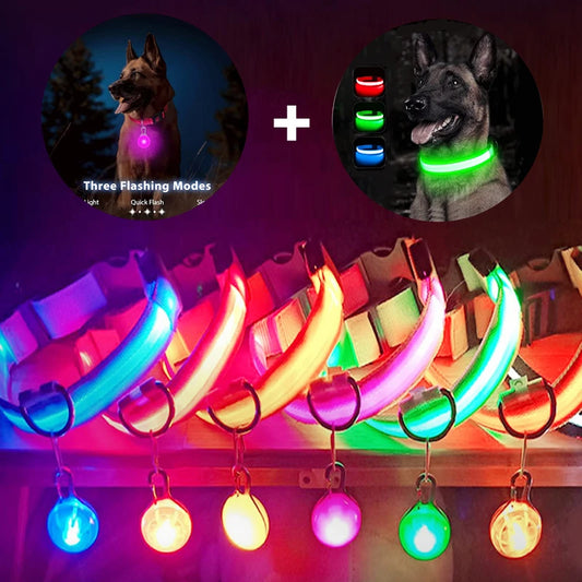 LuxGlow Pet Safety Collar | Usb Charging or Battery-Operated Dog/Cat Collar with Detachable Pendant | Night Safety Collar