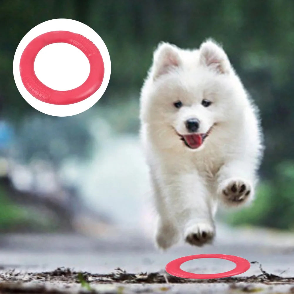 Floating Fun Dog Ring