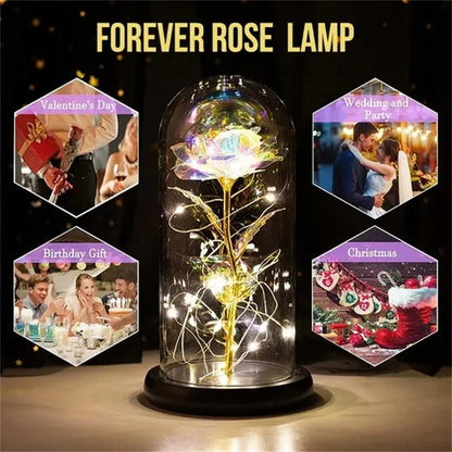 Golden Glow Rose Night Light