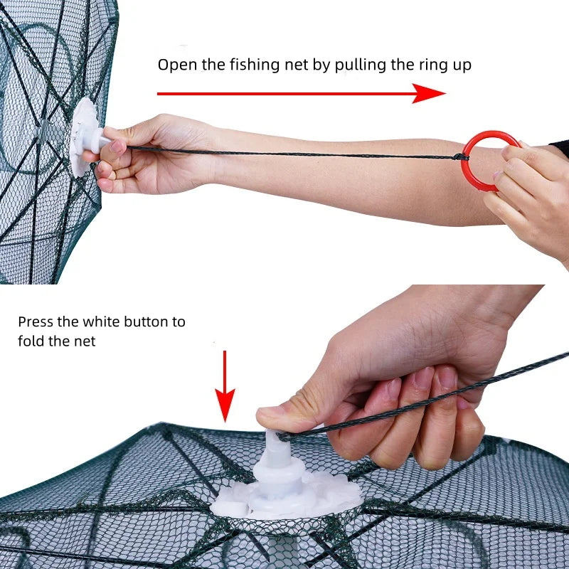 Easy Catch Fish Trap