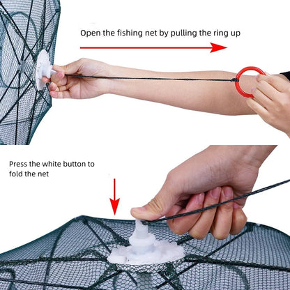 Easy Catch Fish Trap