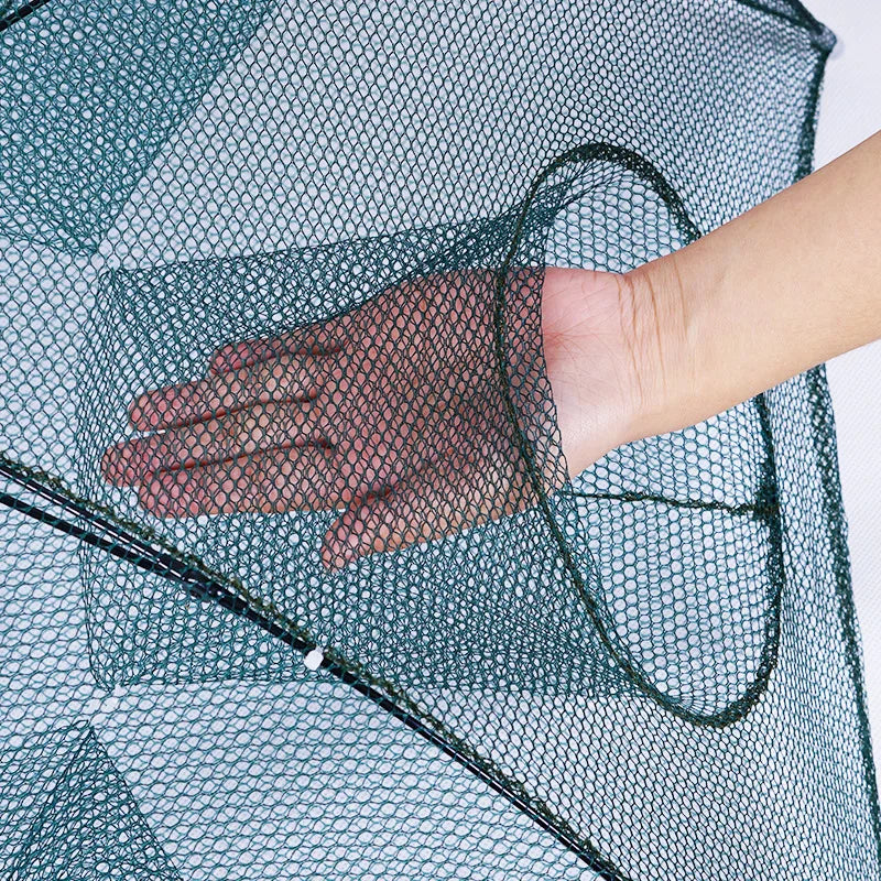 Easy Catch Fish Trap